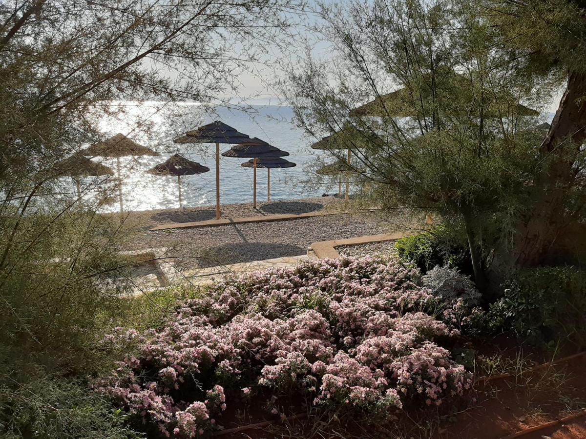 Apartment Sandra Rabac Εξωτερικό φωτογραφία