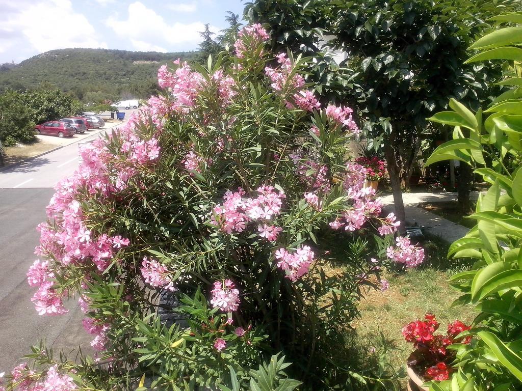 Apartment Sandra Rabac Δωμάτιο φωτογραφία