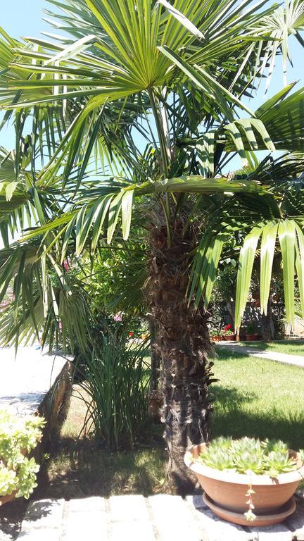 Apartment Sandra Rabac Εξωτερικό φωτογραφία