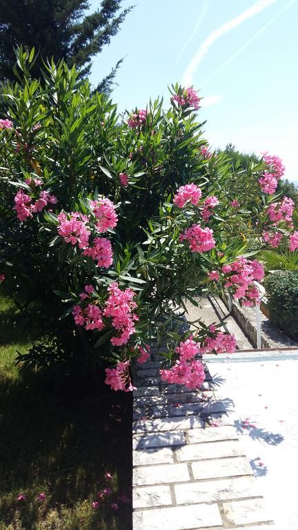 Apartment Sandra Rabac Εξωτερικό φωτογραφία